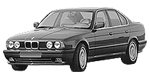 BMW E34 P21CC Fault Code