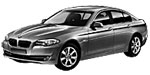 BMW F10 P21CC Fault Code